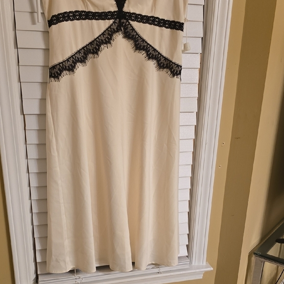 Anthropologie Cream and Black Sleeveless Midi Dress - Picture 4 of 13